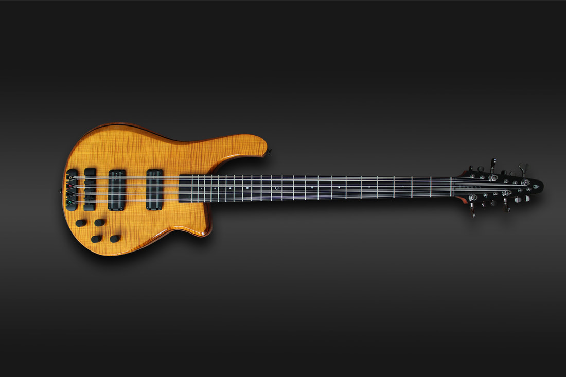 Brooks EB-N-12. Twelve string bass with flamed maple top